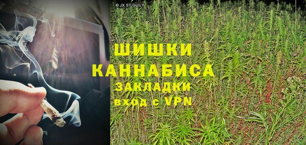 ГАЛЛЮЦИНОГЕННЫЕ ГРИБЫ Куйбышев