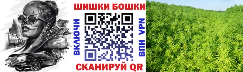 наркотики  Александровское  Бошки Шишки SATIVA & INDICA 